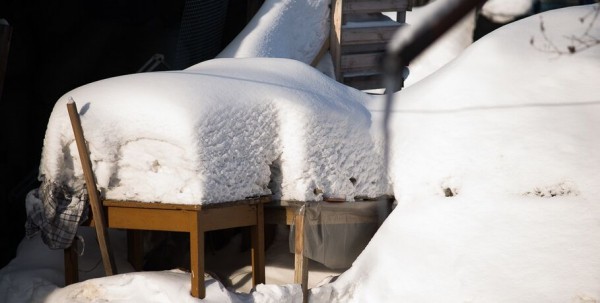 Омский скот попал в британское издание