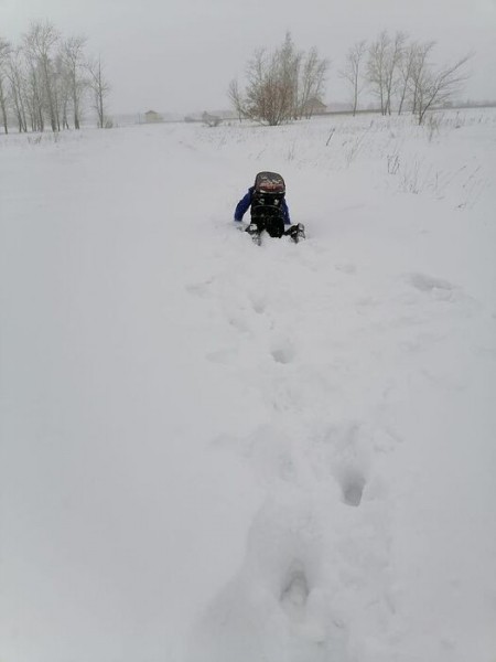 Под Омском дети добираются до школы 3 км по сугробам, за проблему взялись прокуроры Под Омском дети добираются до школы 3 км по сугробам, за проблему взялись прокуроры