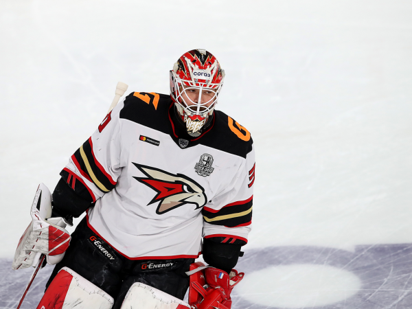 
        Ковальчук решает во втором овертайме! «Авангард» победил «Автомобилист» в четвёртом матче серии
      