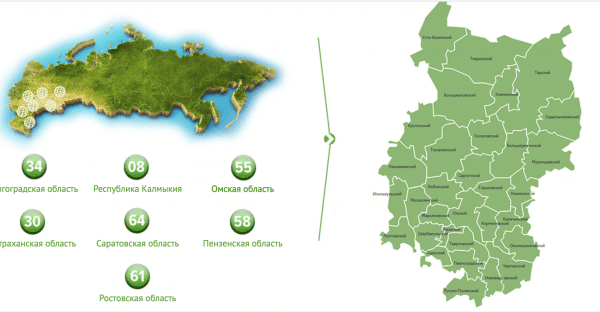 На единого оператора по вывозу мусора в Омской области претендует компания с австрийскими корнями
