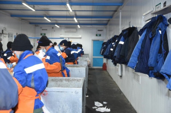 В Омске начал работать второй завод по сортировке мусора