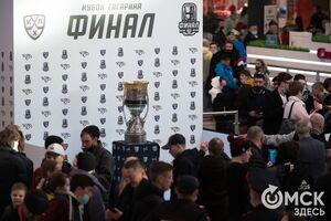 КХЛ, "Фортнайт" и "Формула-1". Что ищут омичи в интернете 21 марта