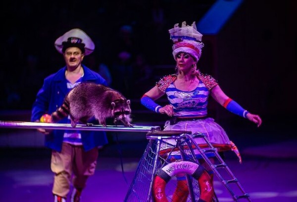 "Дочь всегда спрашивала, почему мы не такие как все". Интервью с дрессировщицей гастрольного цирка "Дочь всегда спрашивала, почему мы не такие как все". Интервью с дрессировщицей гастрольного цирка