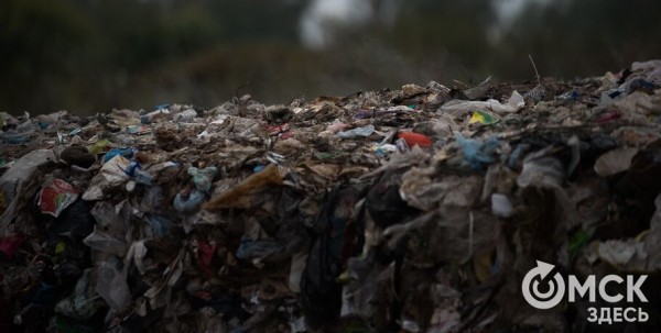 Амурский посёлок избавят от старой свалки за 1,3 млрд рублей