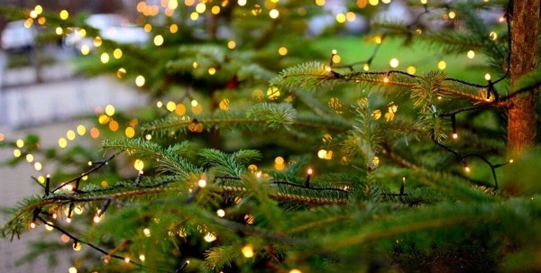 Спасатели назвали причину возгорания в омской фотостудии