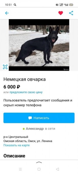 
									Житель Омской области потерял собаку и увидел объявление о ее продаже &nbsp;&nbsp;[ФОТО]&nbsp;&nbsp;