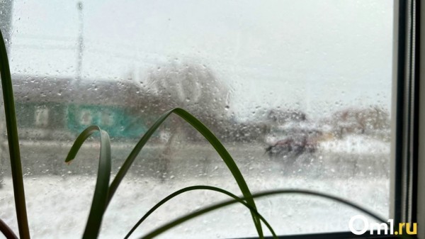 Синоптики предсказали первую весеннюю грозу в Омской области