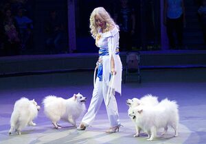 "Дочь всегда спрашивала, почему мы не такие как все". Интервью с дрессировщицей гастрольного цирка "Дочь всегда спрашивала, почему мы не такие как все". Интервью с дрессировщицей гастрольного цирка