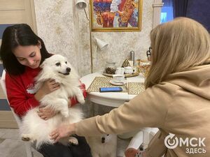 "Дочь всегда спрашивала, почему мы не такие как все". Интервью с дрессировщицей гастрольного цирка "Дочь всегда спрашивала, почему мы не такие как все". Интервью с дрессировщицей гастрольного цирка