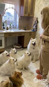 "Дочь всегда спрашивала, почему мы не такие как все". Интервью с дрессировщицей гастрольного цирка "Дочь всегда спрашивала, почему мы не такие как все". Интервью с дрессировщицей гастрольного цирка