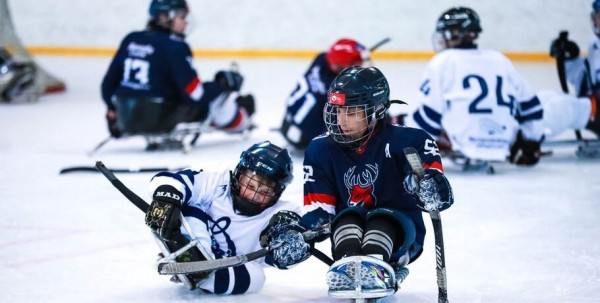 Международный хоккейный матч состоится в Омске