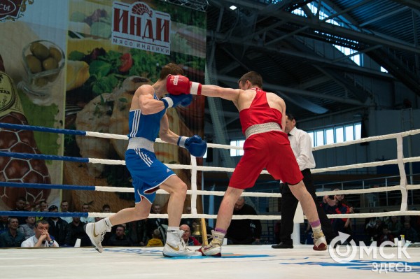 Омские боксёры отличились на турнире Тищенко