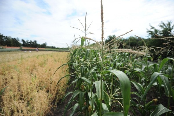 Как санкции и Байден влияют на стоимость капусты в Омске?
Как санкции и Байден влияют на стоимость капусты в Омске?
