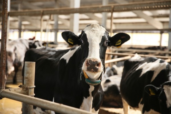 
									Как санкции и Байден влияют на стоимость капусты в Омске? 