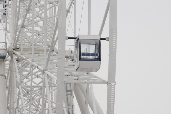 
									От невольничьего рынка до «Диснейленда»: что будет с омским парком «Зеленый остров»?    [ФОТО]  