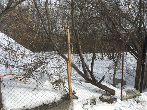 
									Что делать с омскими «заброшками», которые всех бесят?   [ФОТО]  