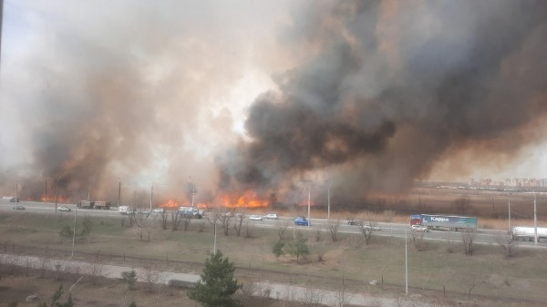 
									На Левобережье Омска вновь загорелся камыш   [ФОТО+ВИДЕО]  