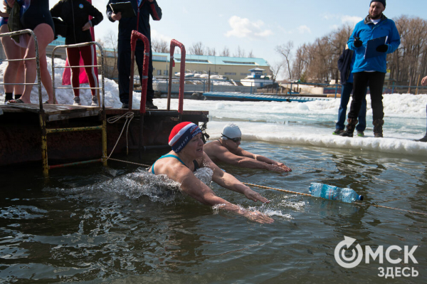 Омские "Моржи" совершили праздничный заплыв Омские "Моржи" совершили праздничный заплыв