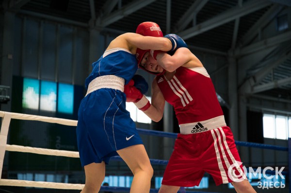 Омские боксёры отличились на турнире Тищенко
