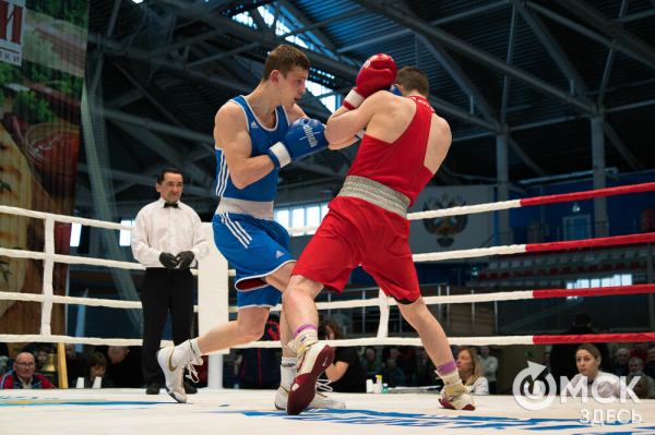 Омские боксёры отличились на турнире Тищенко