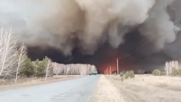 Омская прокуратура выяснит, кто виноват в пожаре, из-за которого пострадал детский лагерь «Юбилейный» Омская прокуратура выяснит, кто виноват в пожаре, из-за которого пострадал детский лагерь «Юбилейный»