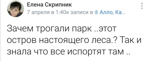 Калачинск: парк мечты главы р-на Мецлера или на что потрачены 100 казенных млн?