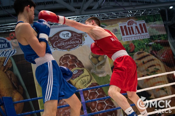 Омские боксёры отличились на турнире Тищенко
