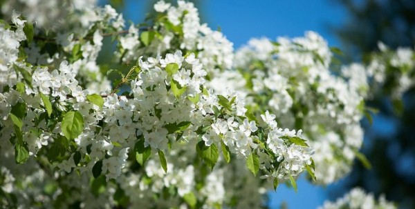 Омичи не планируют отдыхать на майских праздниках