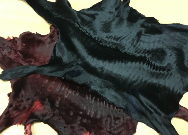 Новая не по карману: омичи массово ремонтируют одежду и обувь
Новая не по карману: омичи массово ремонтируют одежду и обувь