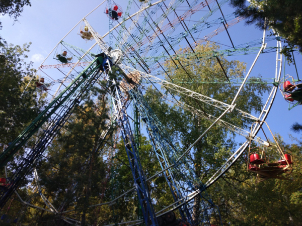 
									От невольничьего рынка до «Диснейленда»: что будет с омским парком «Зеленый остров»?    [ФОТО]  