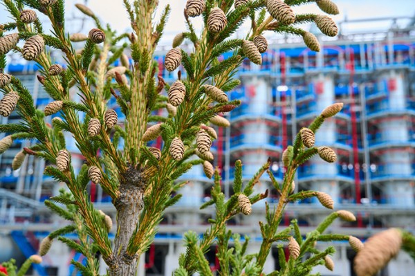 
									В Омске сократился объем выбросов 