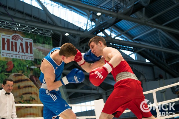 Омские боксёры отличились на турнире Тищенко