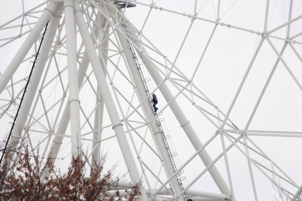 
									От невольничьего рынка до «Диснейленда»: что будет с омским парком «Зеленый остров»?    [ФОТО]  