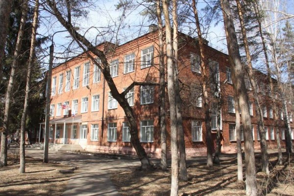 
									Шелест пообещал снять омских школьников с деревьев 