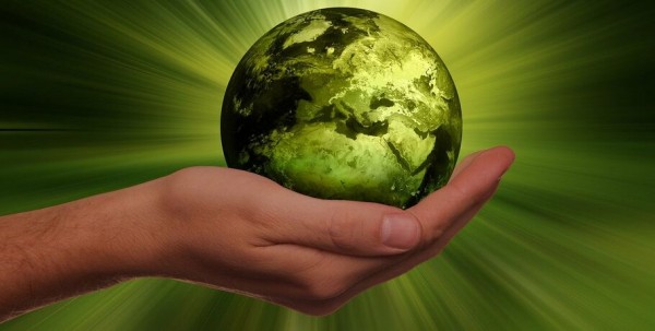 Омская журналистика станет более "зелёной"