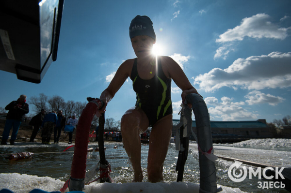 Омские "Моржи" совершили праздничный заплыв Омские "Моржи" совершили праздничный заплыв