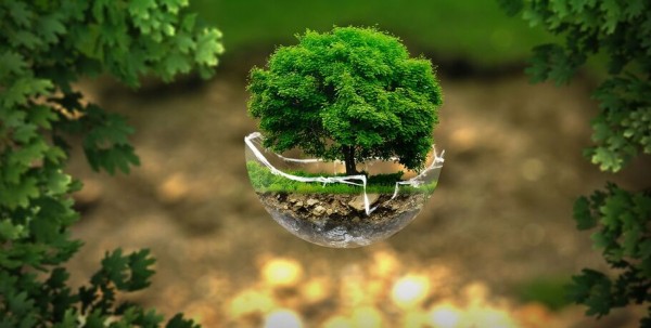 Волонтёры начнут забирать пластик, бумагу, стекло и батарейки из офисов и домов омичей Волонтёры начнут забирать пластик, бумагу, стекло и батарейки из офисов и домов омичей