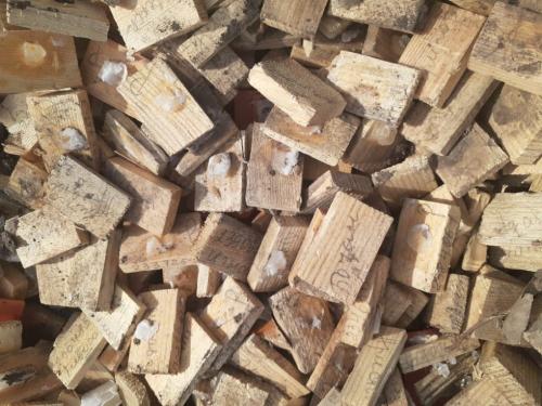 Страшная находка: в Омском СНТ обнаружили россыпи человеческого биоматериала Страшная находка: в Омском СНТ обнаружили россыпи человеческого биоматериала