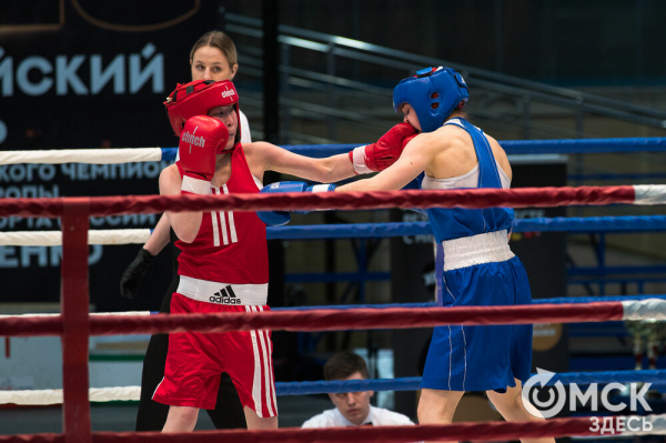 Омские боксёры отличились на турнире Тищенко