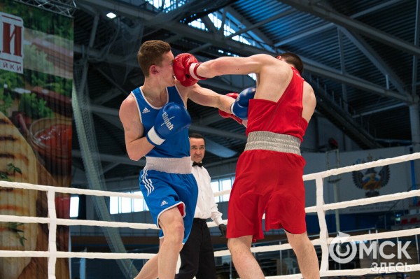 Омские боксёры отличились на турнире Тищенко