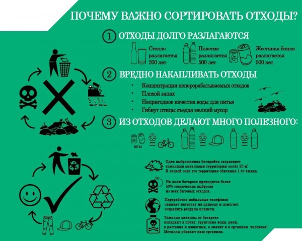 Омские экоактивисты открывают бесплатный пункт приёма вторсырья Омские экоактивисты открывают бесплатный пункт приёма вторсырья