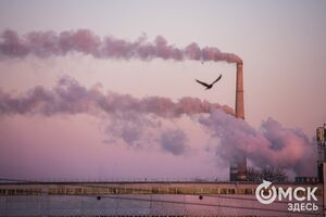 День дочери, матч "Ростов" - "Спартак" и "Экорлята.рф". Что ищут омичи в интернете 25 апреля