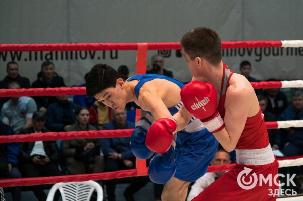 Омские боксёры отличились на турнире Тищенко