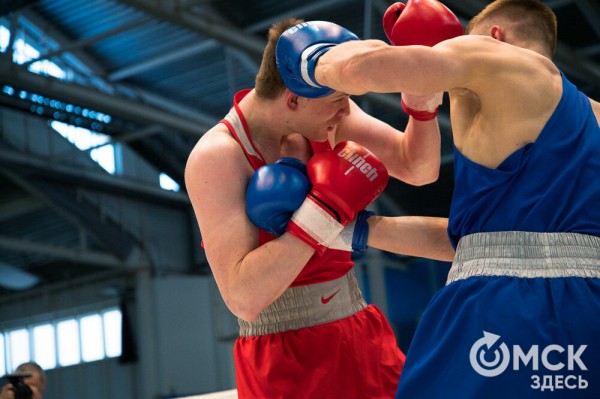 Омские боксёры отличились на турнире Тищенко