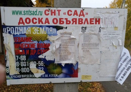 Ульяна Нескорова: «Впору задуматься: почему у нас такие адвокаты, как Бородихина? Да и судьи тоже?»