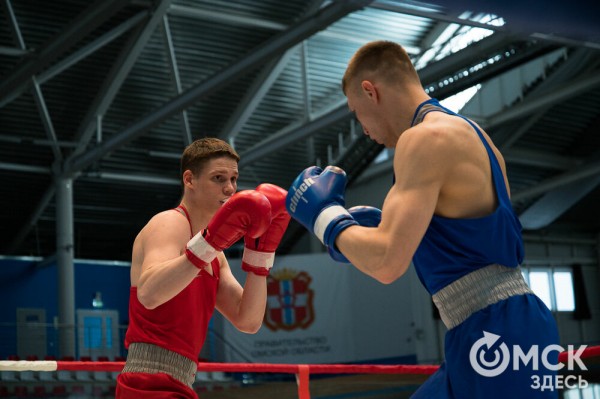 Омские боксёры отличились на турнире Тищенко