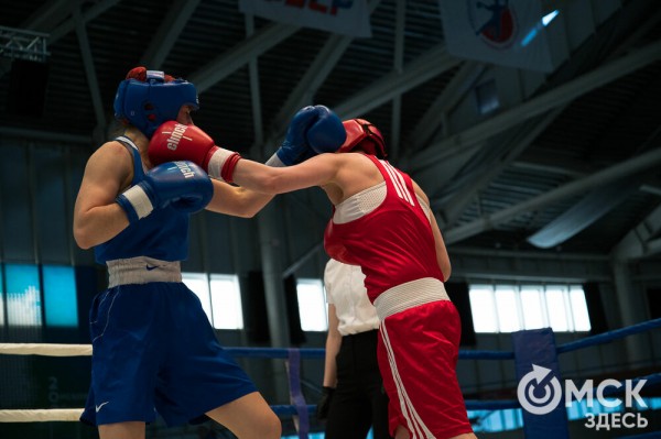 Омские боксёры отличились на турнире Тищенко