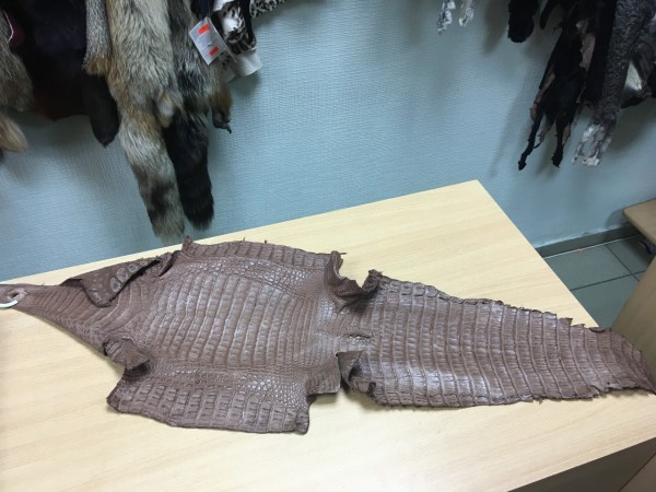 Новая не по карману: омичи массово ремонтируют одежду и обувь
Новая не по карману: омичи массово ремонтируют одежду и обувь