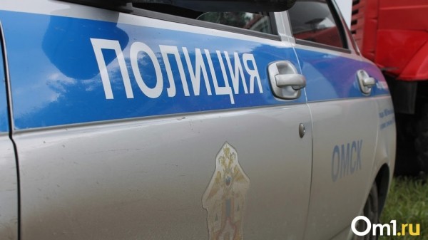 В Омской области пропала мать с четырьмя детьми