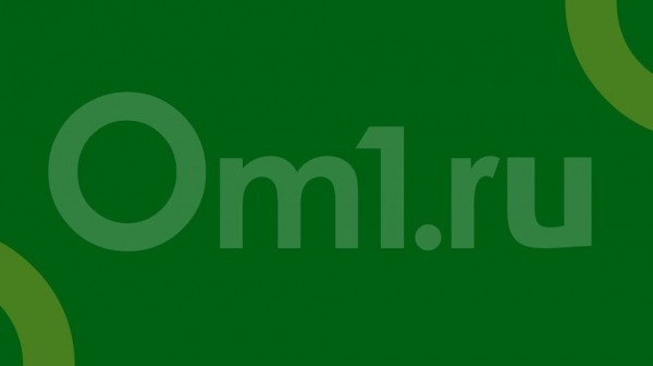 В Новосибирске прекратили раздельный сбор отходов из-за кризиса